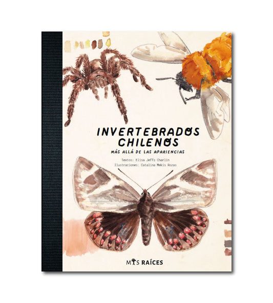 Invertebrados chilenos. Más allá de las apariencias